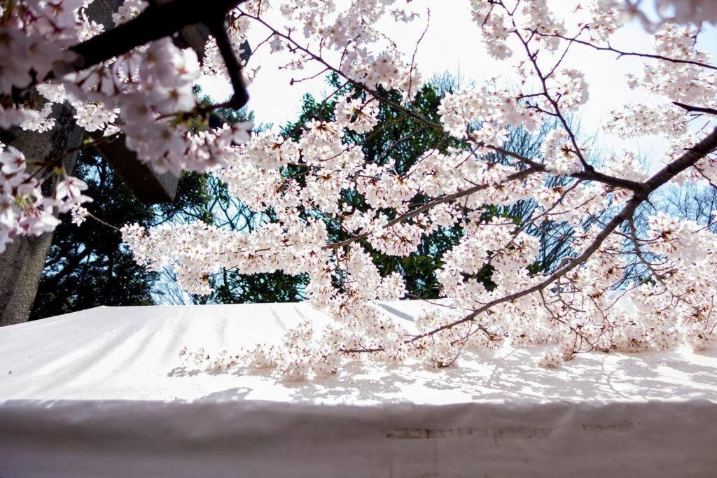 寅ホテル 台東 Hotel 寅 台东 Tora Hotel Taito A Präfektur Tokio Exterior foto